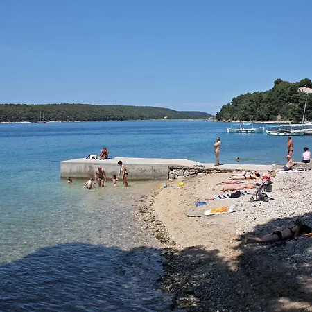 3195a דירה Palit