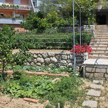 Studio Palit 3195a * Palit